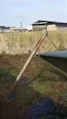 a Dilapidated Structure on a Land Measuring 330 Sqm in an Estate, Josodat Estate, Gbagada, Lagos, Land for Sale