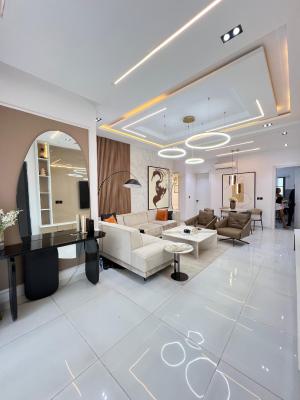 Distress Fully Furnished 2 Bedroom Apartment Bedroom with Bq, Potential Income Generating Luxury Apartment in Ologolo, Lekki, Lagos, Flat / Apartment for Sale