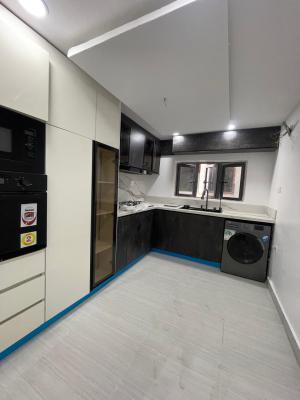 Beautiful 2 Bedroom, Ikate, Lekki, Lagos, Flat / Apartment for Rent