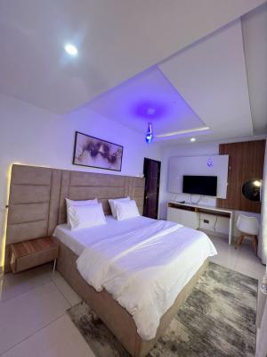 Luxury Furnished & Serviced 2 Bedroom Apartment, Lekki Phase 1, Lekki, Lagos, Flat / Apartment for Rent