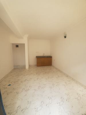 Room and Parlor in Lekki Agugi, Agugi East Estate, Osapa, Lekki, Lagos, Mini Flat (room and Parlour) for Rent