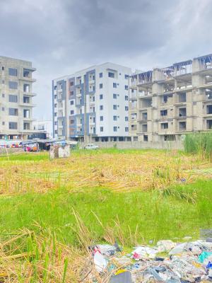 1600sqm Cornerpiece Land, Off Freedom Way, Lekki Phase 1, Lekki, Lagos, Residential Land Joint Venture