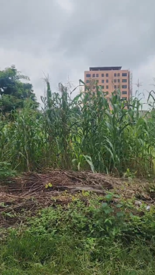5467sqm Cbd Jv, Central Business District, Abuja, Land Joint Venture