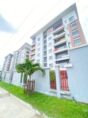 Nice 2 Bedroom Apartment, Ikate, Lekki, Lagos, Flat / Apartment for Rent