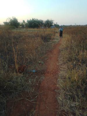 Residential Land, Olambe, Ifo, Ogun, Land for Sale
