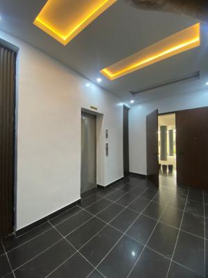 Pristine 1  Bedroom Apartment, Lekki Phase 1, Lekki, Lagos, Mini Flat (room and Parlour) for Rent