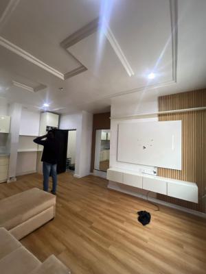 Luxury Mini Flat, Osapa London, Osapa, Lekki, Lagos, Mini Flat (room and Parlour) for Rent