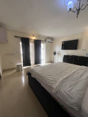 Beautifully Fully Furnished Room in a 3 Bedroom Apartment, Oniru, Victoria Island (vi), Lagos, Flat / Apartment for Rent