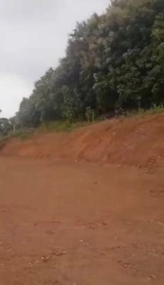 a Standard, Stunning Land, Asokoro District, Abuja, Residential Land Joint Venture