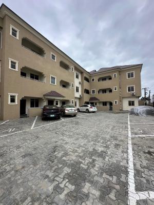 Mini Flat with Dinning Area and Store, Ikate, Ikate Elegushi, Lekki, Lagos, Mini Flat (room and Parlour) for Rent
