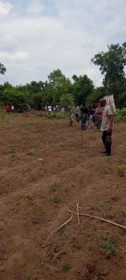 Palm Plantation Land, Iseyin, Oyo, Industrial Land for Sale