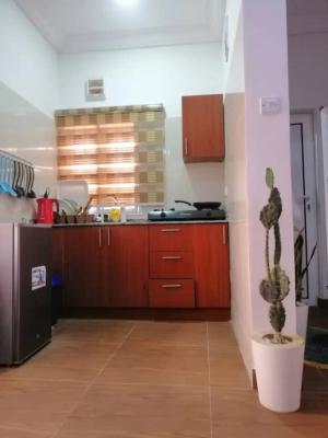 Finished to Taste Studio Apartment, Dalhiru Musdafa Boulevard Street, Wuye, Abuja, Self Contain (single Rooms) Short Let