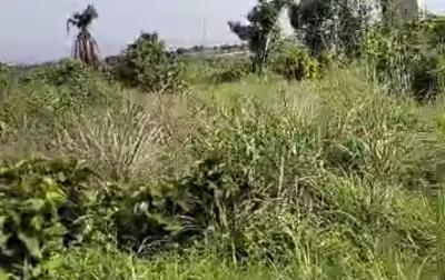 46 Plots of Dry Land, Fenced and Gated, Close to Oba Junction, Idemili, Anambra, Land for Sale