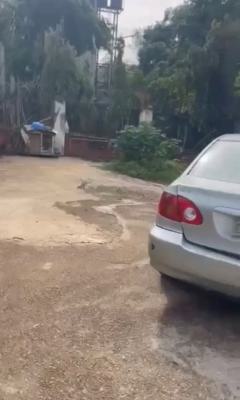 600sqm, Residential, C of O, Tarred Road, Zone 6, Wuse, Abuja, Residential Land for Sale