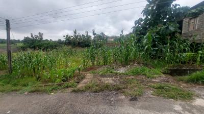 400sqm Plot, in an Estate, Jabi, Abuja, Residential Land for Sale