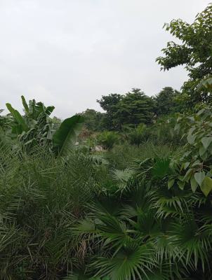 Acres of Land Behind Ogun State Governors Office,abeokuta, Behind Governors Office,ateroko Village, Abeokuta North, Ogun, Commercial Land for Sale