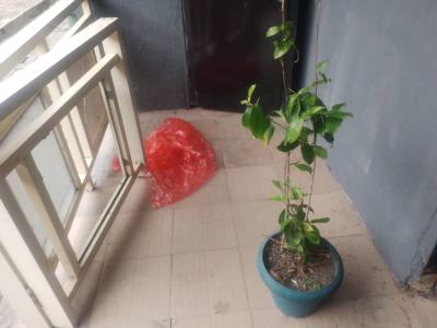 Standard 1 Bedroom Mini Flat, New Road/ Alpha Beach Road Eti-osa Lga, Lekki, Lagos, Mini Flat (room and Parlour) for Rent