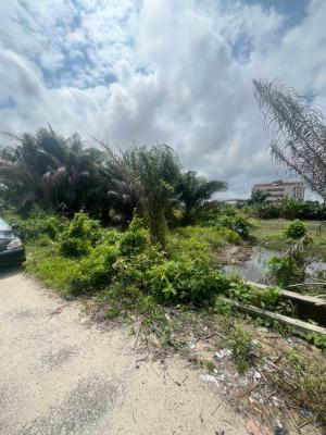 Prime 1100 Sqm Plot, Behind Corona School, Gra, Abijo, Lekki, Lagos, Residential Land for Sale