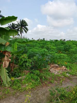 1 Plot of Land in a Fast Developing Environment, Eneka, Port Harcourt, Rivers, Residential Land for Sale