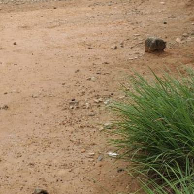 a Well Built Designed Bungalow Sitting on 4335sqm, Ikeja Gra, Ikeja, Lagos, Mixed-use Land for Sale