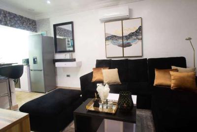 Furnished 1 Bedroom Mini Flat, Meadow Hall Ikate, Lekki, Lagos, Mini Flat (room and Parlour) for Rent