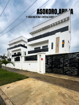 6-bedroom Fully Detached Duplex  in Asokoro!, Asokoro District, Abuja, House for Sale