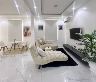 Tastefully Furnished 3 Bedroom Maisonette (6th Floor), Lekki Phase 1, Lekki, Lagos, Flat / Apartment for Rent