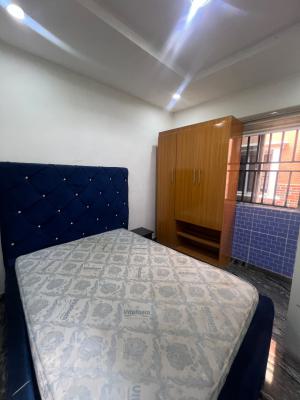 Semi Furnished 1 Bedroom Apartment with Inverter, Inside an Estate Along Galadimawa Expressway, Tarred Road All Through, Galadimawa, Abuja, Mini Flat (room and Parlour) for Rent