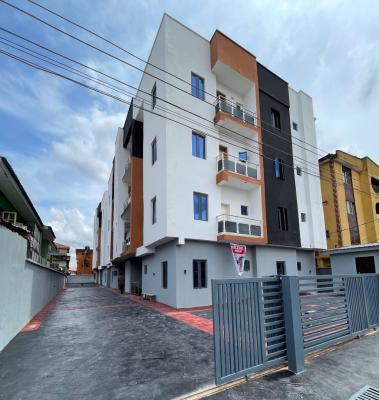 Eye Catchy Built 3 Bedroom Apartment with Range of Amenities, Surulere, Lagos, Flat / Apartment for Sale