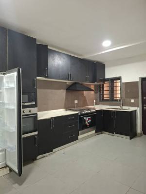 Completely Serviced and Furnished Four Bedroom Terraced Duplex with Bq, Guzape District, Abuja, Terraced Duplex for Rent