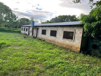 Carcass 4 Bedroom Detached Bungalow with Bq, Isolo, Lagos, Detached Bungalow for Sale