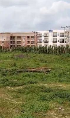 1hectare, Multipurpose, Fcda R of O, Tarred Road, By Dape in Life Camp, Life Camp, Abuja, Mixed-use Land for Sale