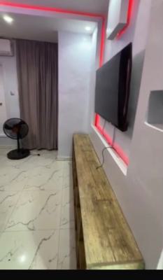 Standard Miniflat Duplex, Jibowu, Yaba, Lagos, Mini Flat (room and Parlour) for Rent