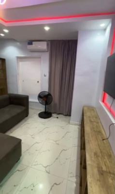 Standard Miniflat Duplex, Jibowu, Yaba, Lagos, Mini Flat (room and Parlour) for Rent