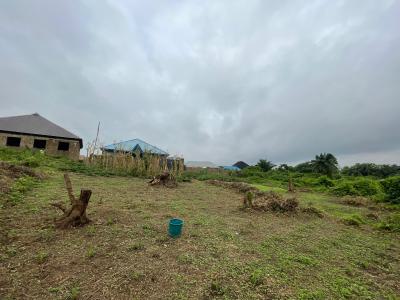 a Well Located Residential Plot of Land Measuring 420sqm., Moboluwaduro Alaagba Estate, Odeyale, Ibadan, Ona Ara, Oyo, Residential Land for Sale