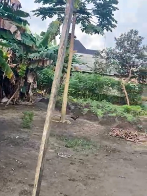 Land Measuring 520sqm at Satellite Village, Satellite Village By Pipeline, Oyigbo, Rivers, Mixed-use Land for Sale
