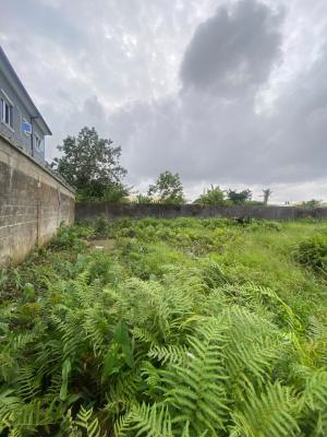650sqm Land, Ogombo, Ogombo, Ajah, Lagos, Land for Sale