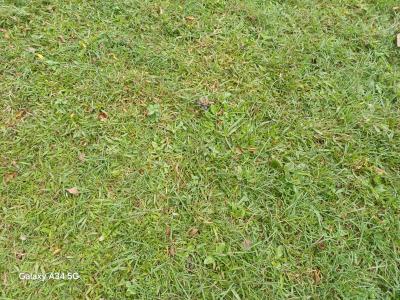 500 Sqm Land, Near Daughters of Charity Hospital, Fo1 Layout, Kubwa, Abuja, Residential Land for Sale