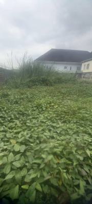 Strategic Located Land, Sangotedo, Ajah, Lagos, Mixed-use Land for Sale