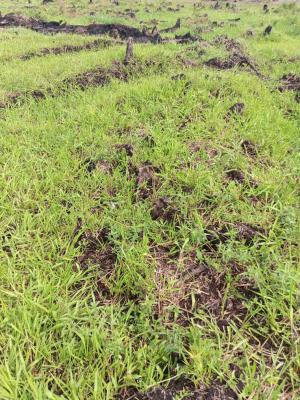 Land Facing Coaster Road, Okunaja, Ogombo, Ajah, Lagos, Mixed-use Land for Sale