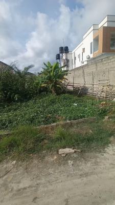 Hot Joint Venture, Sangotedo, Ajah, Lagos, Land Joint Venture