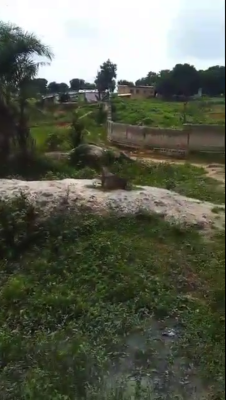 1.1 Ha Jv Land in Mbora, Mbora (nbora), Abuja, Land Joint Venture