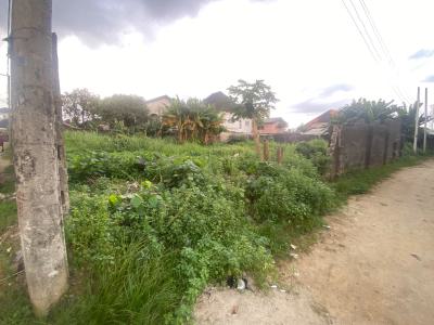 Well Located Coner Piece  2plots of Dry Land, Woji, Port Harcourt, Rivers, Residential Land for Sale