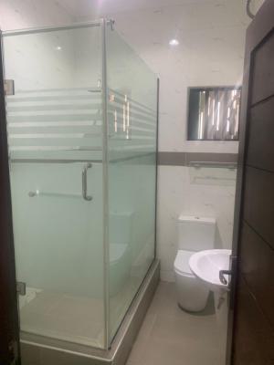 3 Bedroom Flat, Off Freedom Way Ikate Elegusi Lekki Lagos, Ikate Elegushi, Lekki, Lagos, Flat / Apartment for Rent