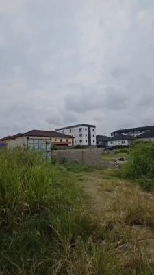 Distress 802 Sqm of Dry Land, Ikate Nike Art Gallery Side, Lagos, Ikate, Lekki, Lagos, Land for Sale