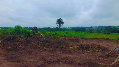 Residential Plots & Farmlands -- Ubi District, Obehie, Abia State, Ubi District, Obehie, Ukwa, Abia, Residential Land for Sale