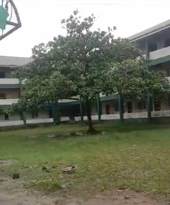 Primary. & Secondary School in Amuwo Educational Province, Off Community Road  Ago Palace Way, Okota, Okota, Isolo, Lagos, School for Sale