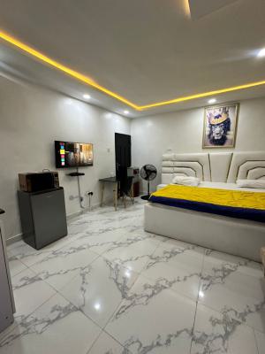 Beautiful Studio Apartment, Ramat Area, Gra, Ogudu, Lagos, Self Contain (single Rooms) Short Let