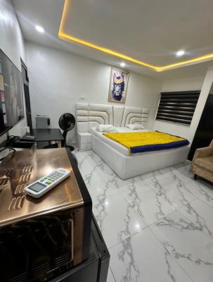 Beautiful Studio Apartment, Ramat Area, Gra, Ogudu, Lagos, Self Contain (single Rooms) Short Let