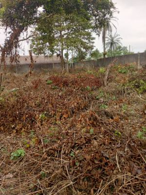 Parcel of Land for Long Lease, Remo North, Ogun, Commercial Land for Rent